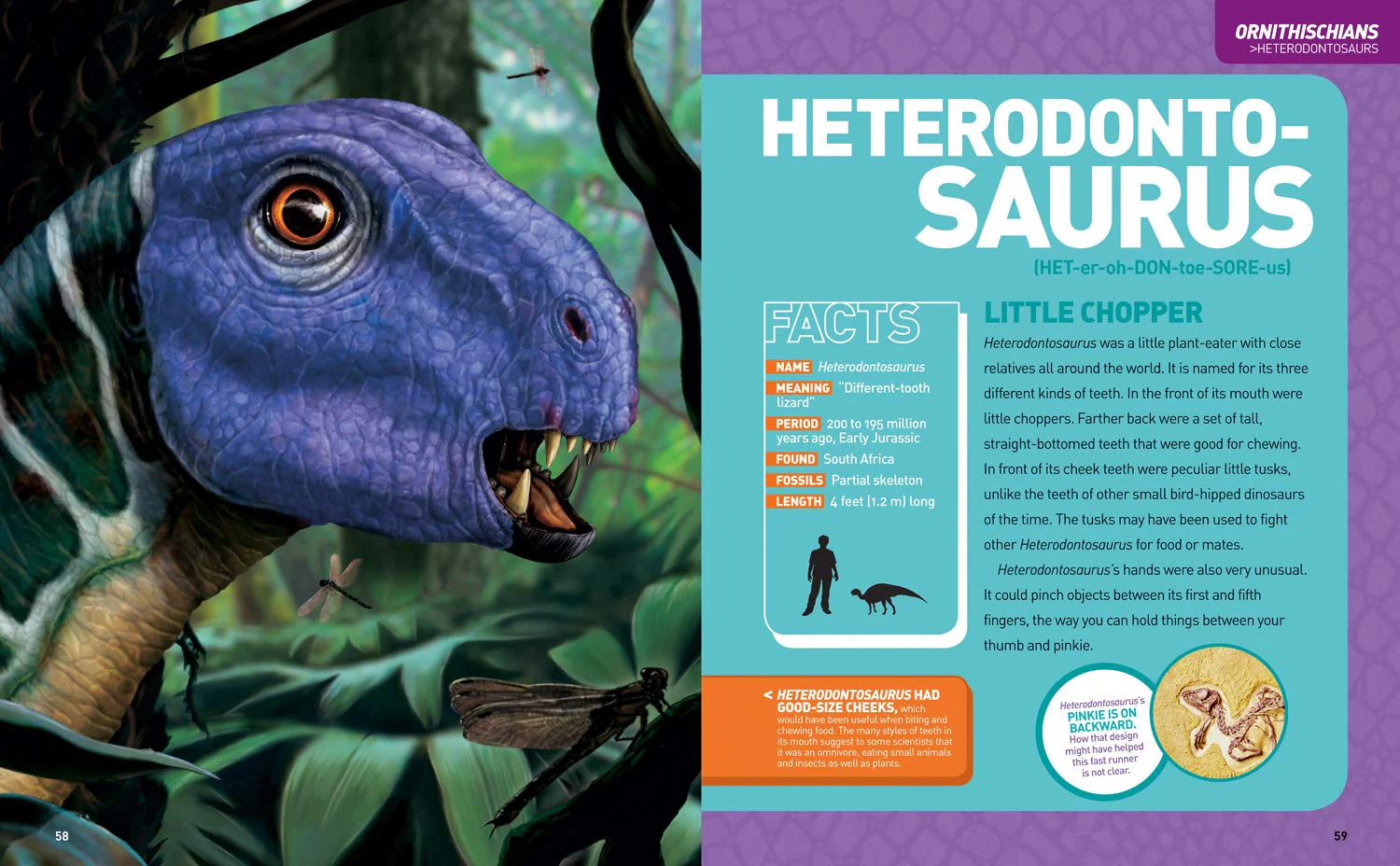 Ultimate DinoPedia - Image 3
