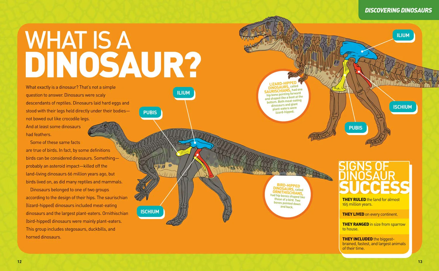 Ultimate DinoPedia - Image 4