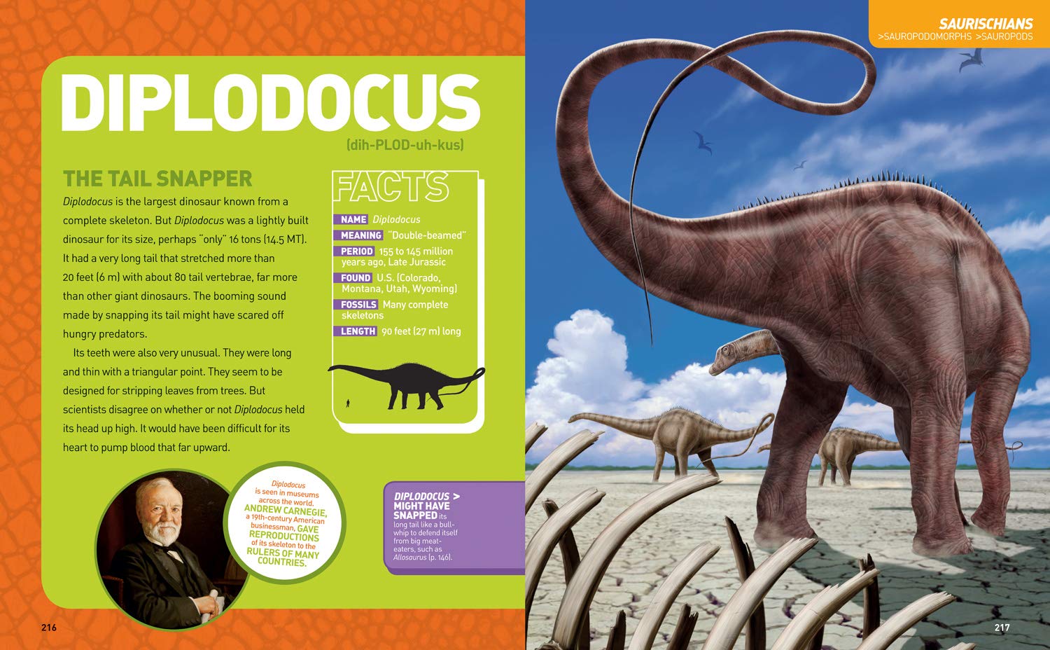 Ultimate DinoPedia - Image 5