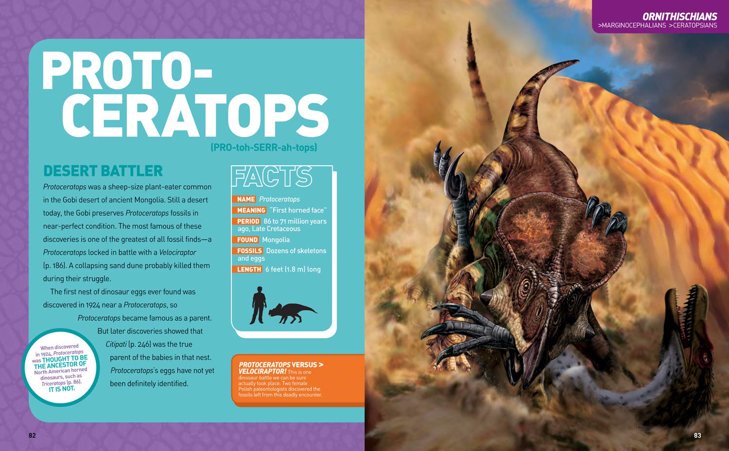 Ultimate DinoPedia - Image 6