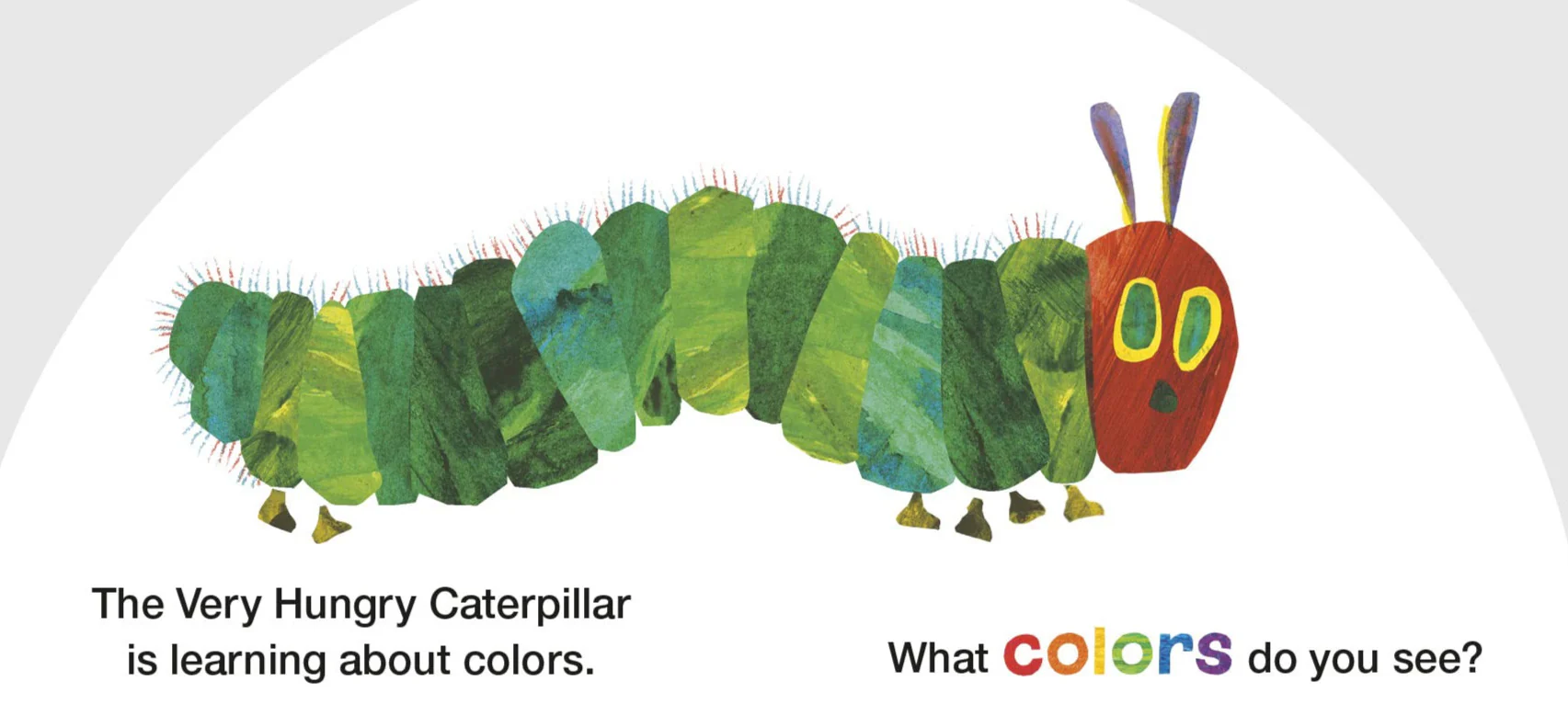 Very Hungry Caterpillar's Rainbow Colors - Image 2