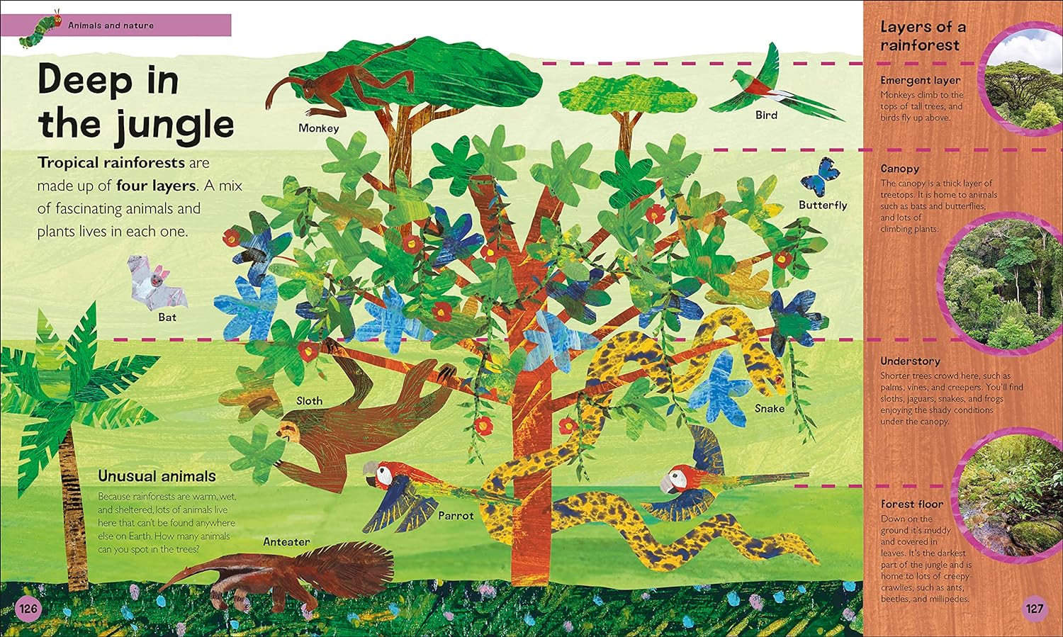 Very Hungry Caterpillar's Very First Encyclopedia - Image 2