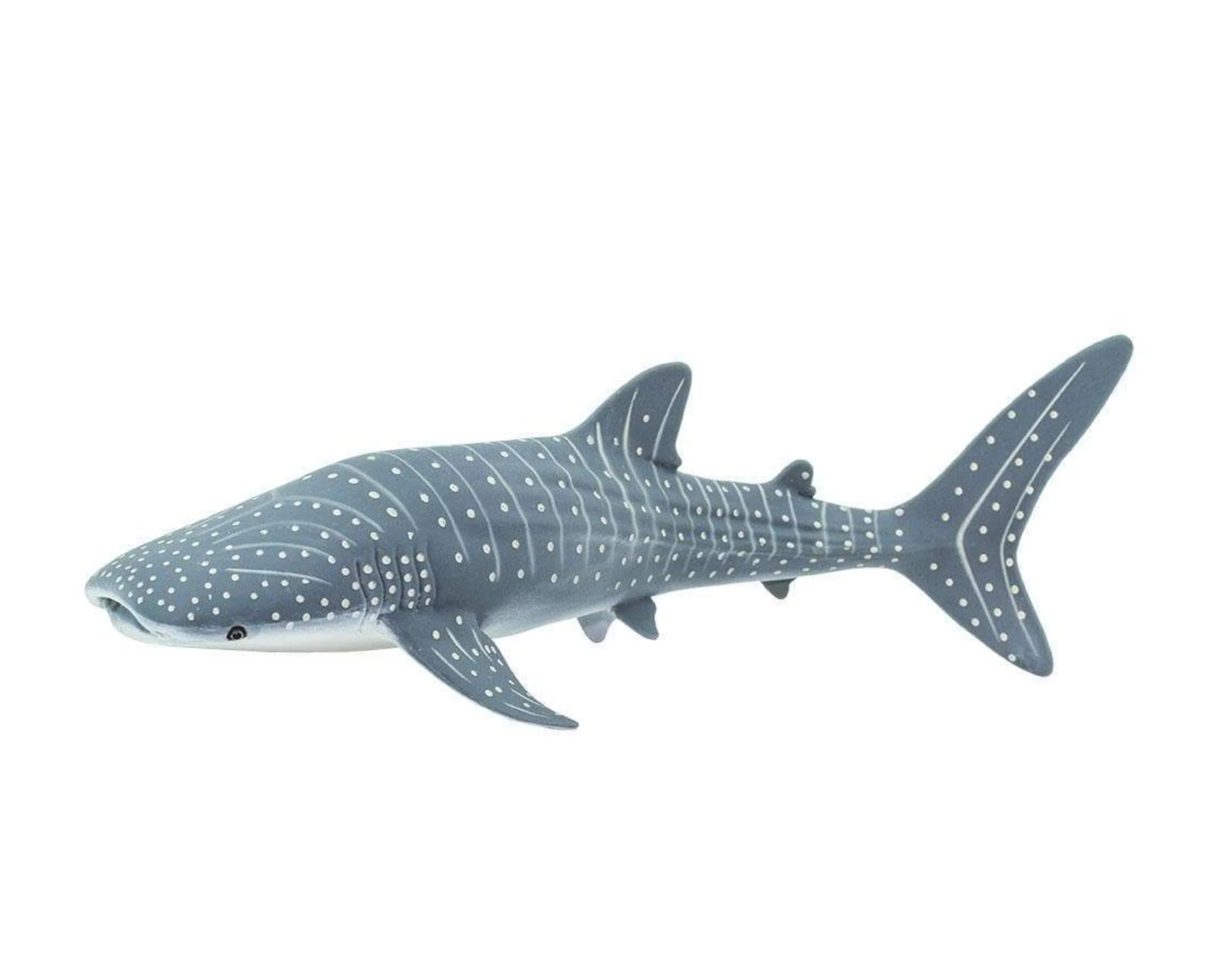 Whale Shark