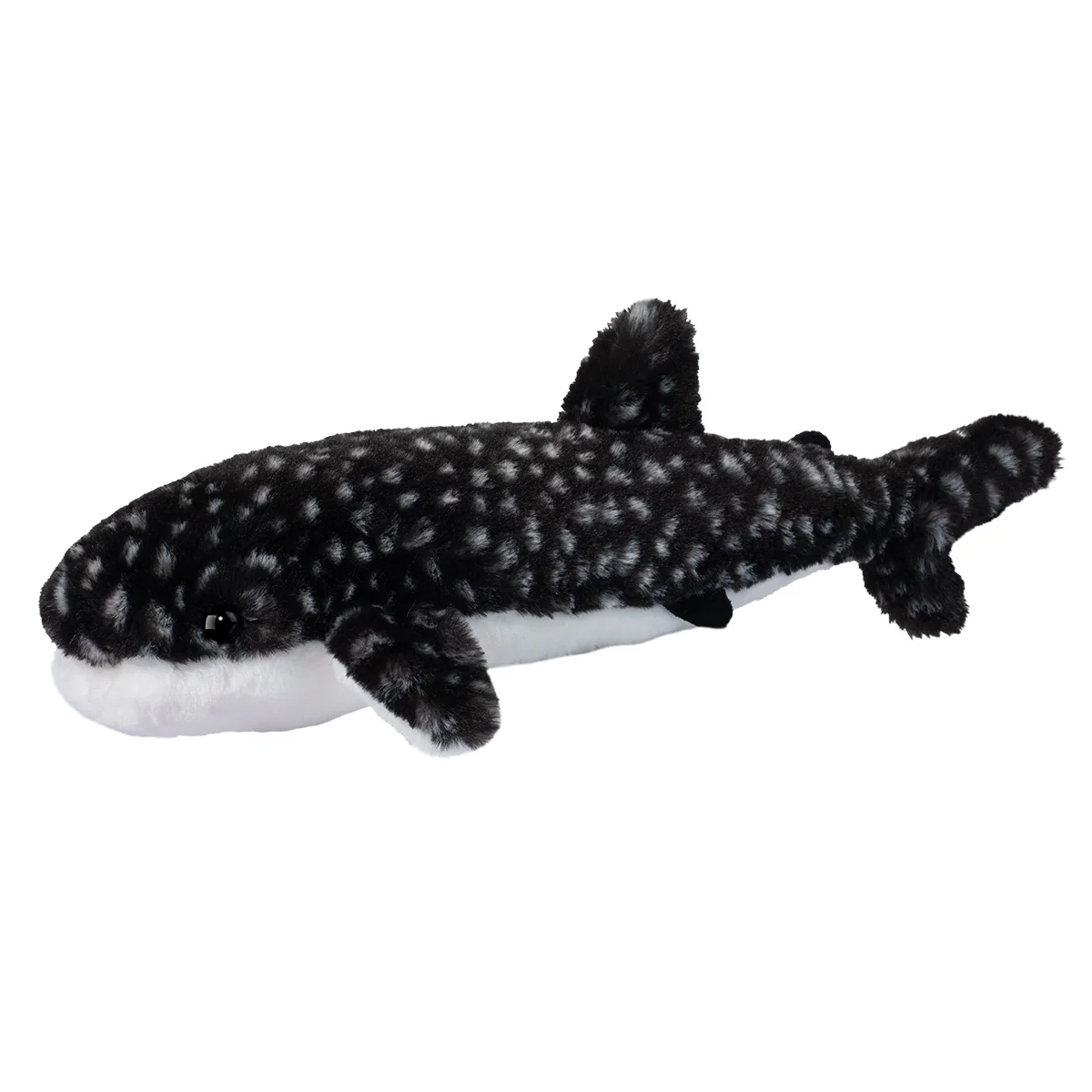 Whale Shark Barnacle