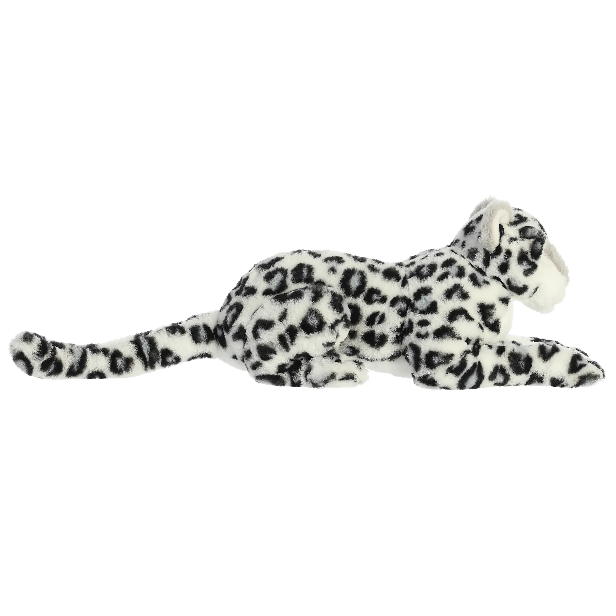 White Leopard Asha - Image 3