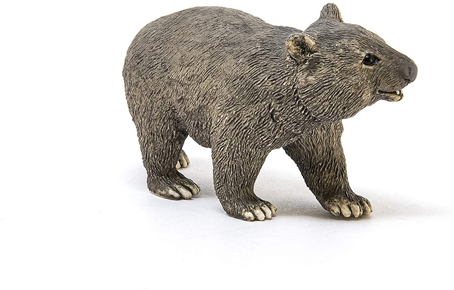 Wombat - Image 3