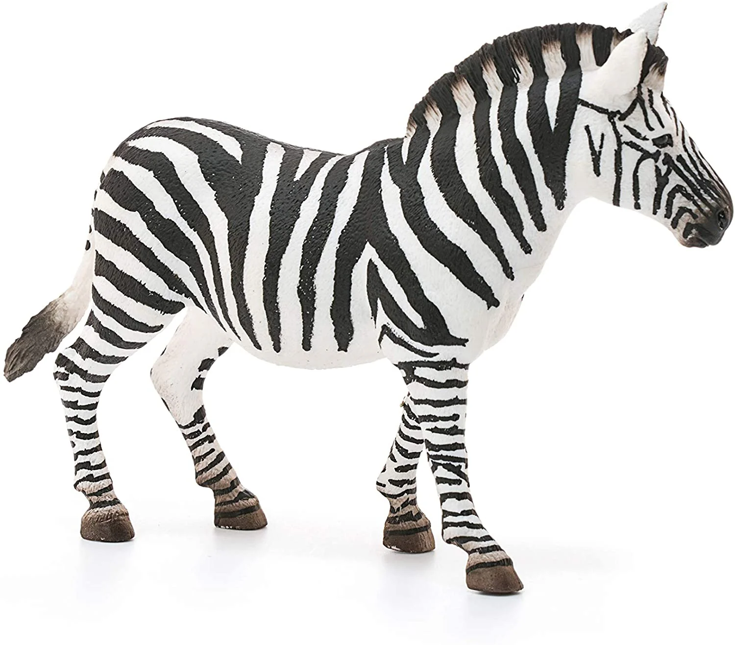 Zebra - Image 3
