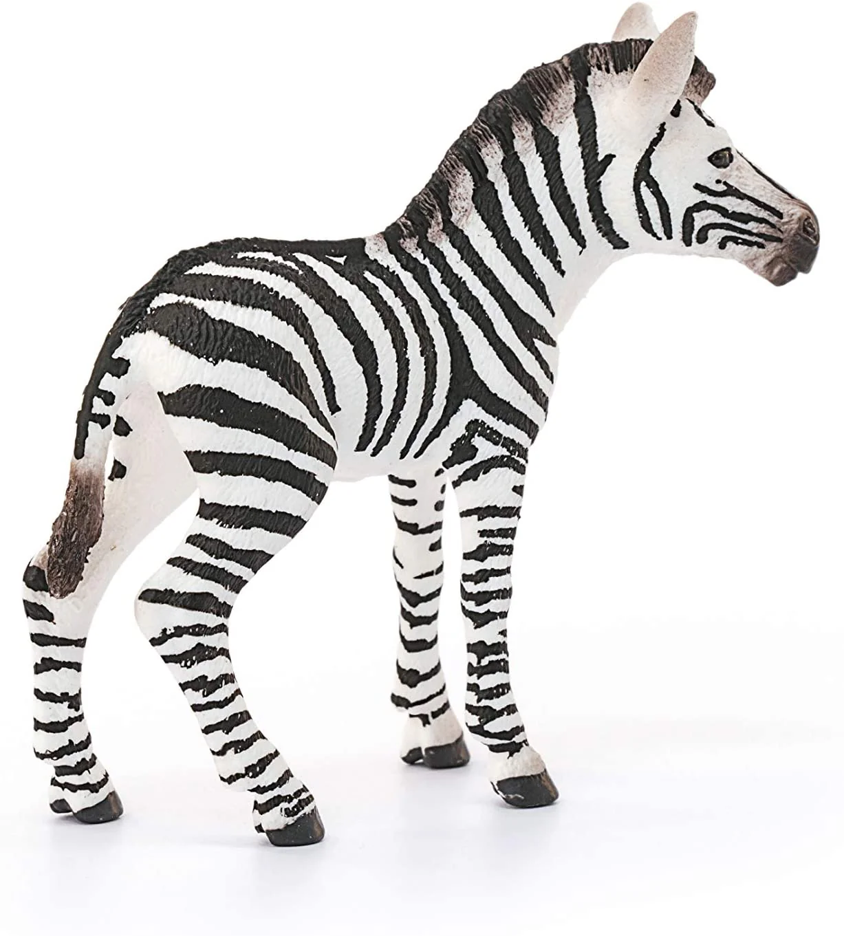 Zebra Foal - Image 3